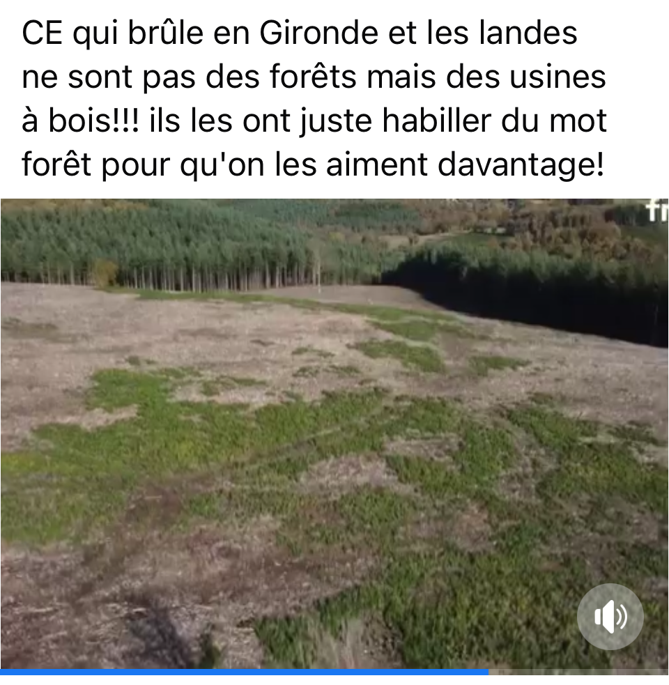CE qui brûle en Gironde et les landes ne sont pas des forêts mais des usines à bois!!! ils les ont juste habiller du mot forêt pour qu'on les aiment davantage!